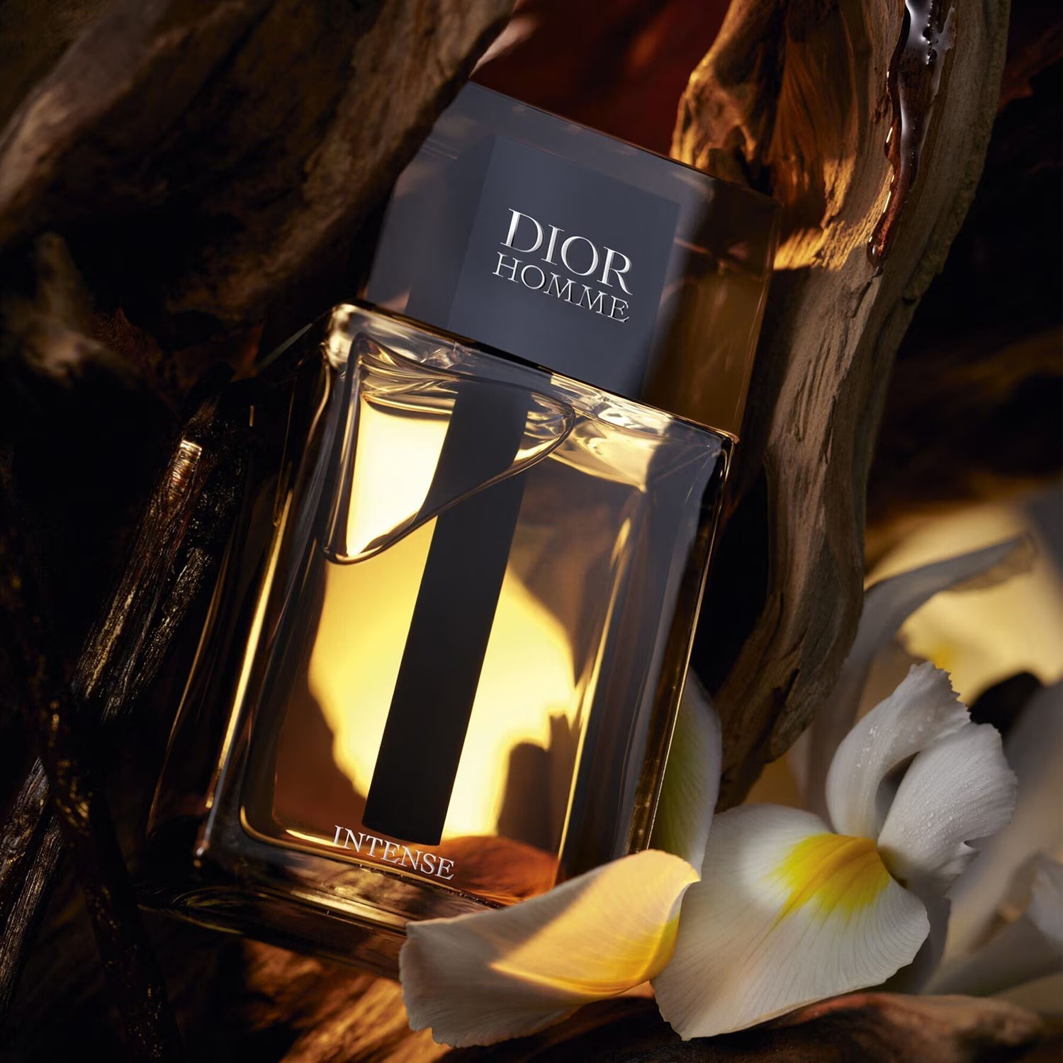 Profumo Dior HOMME INTENSE 100ml